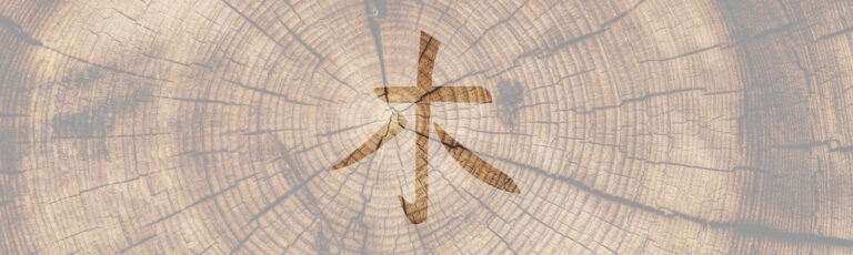 Ankommen & Gespräch – Dein Anliegen im Mittelpunkt